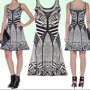DVF fanny sleeveless fit and flare zebra tattoo dress